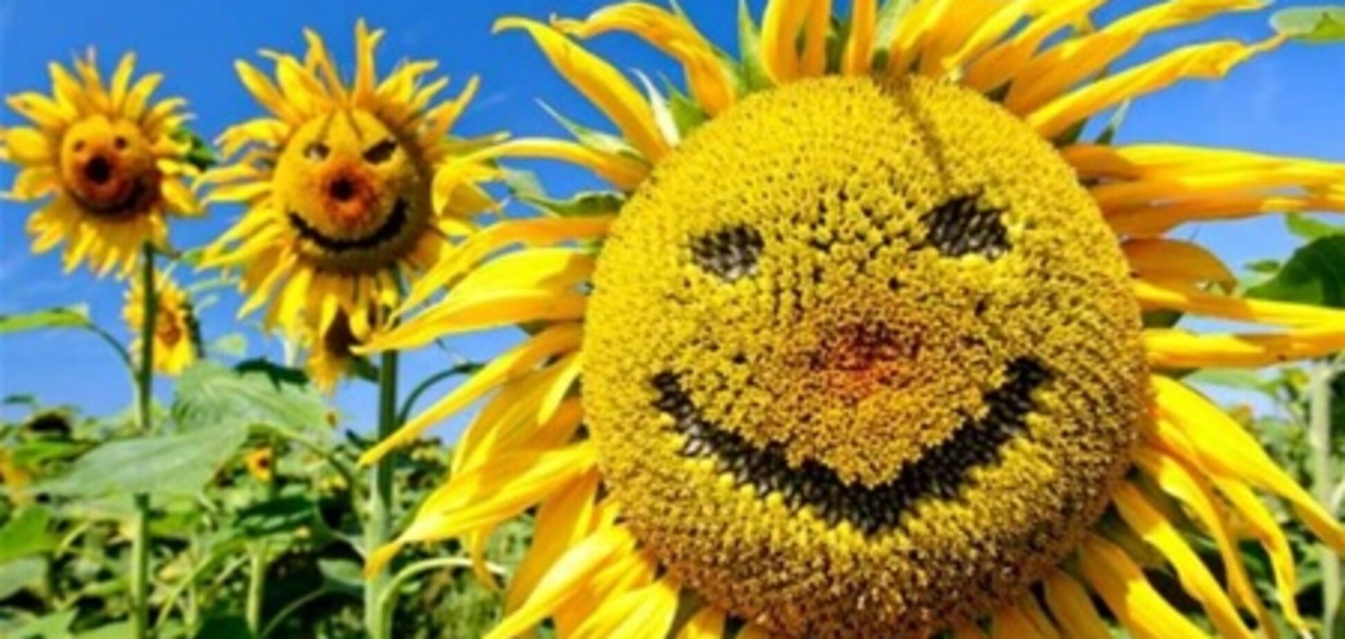 Сегодня Всемирный день улыбки