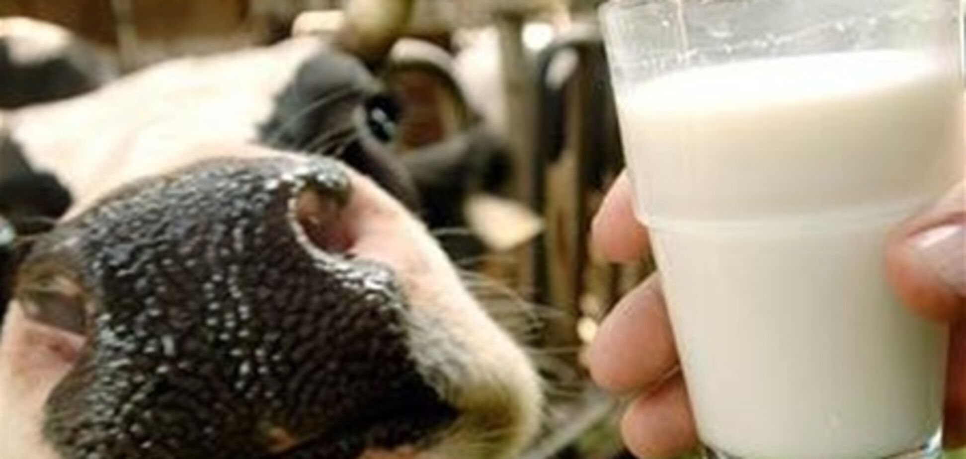 Россия объяснила, почему запретила ввоз мяса и молока из Украины