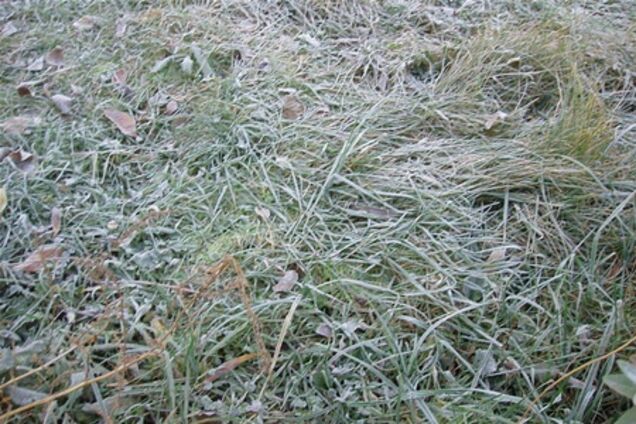 Гидрометцентр предупреждает о заморозках 9-12 октября