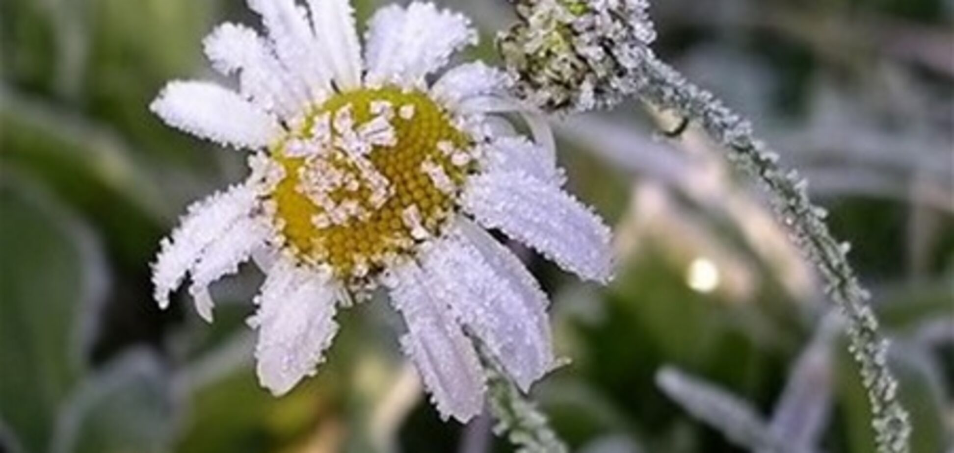 Украинцев предупредили о резком похолодании