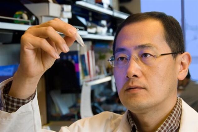 'Нобеля' вручили за клонирование и стволовые клетки