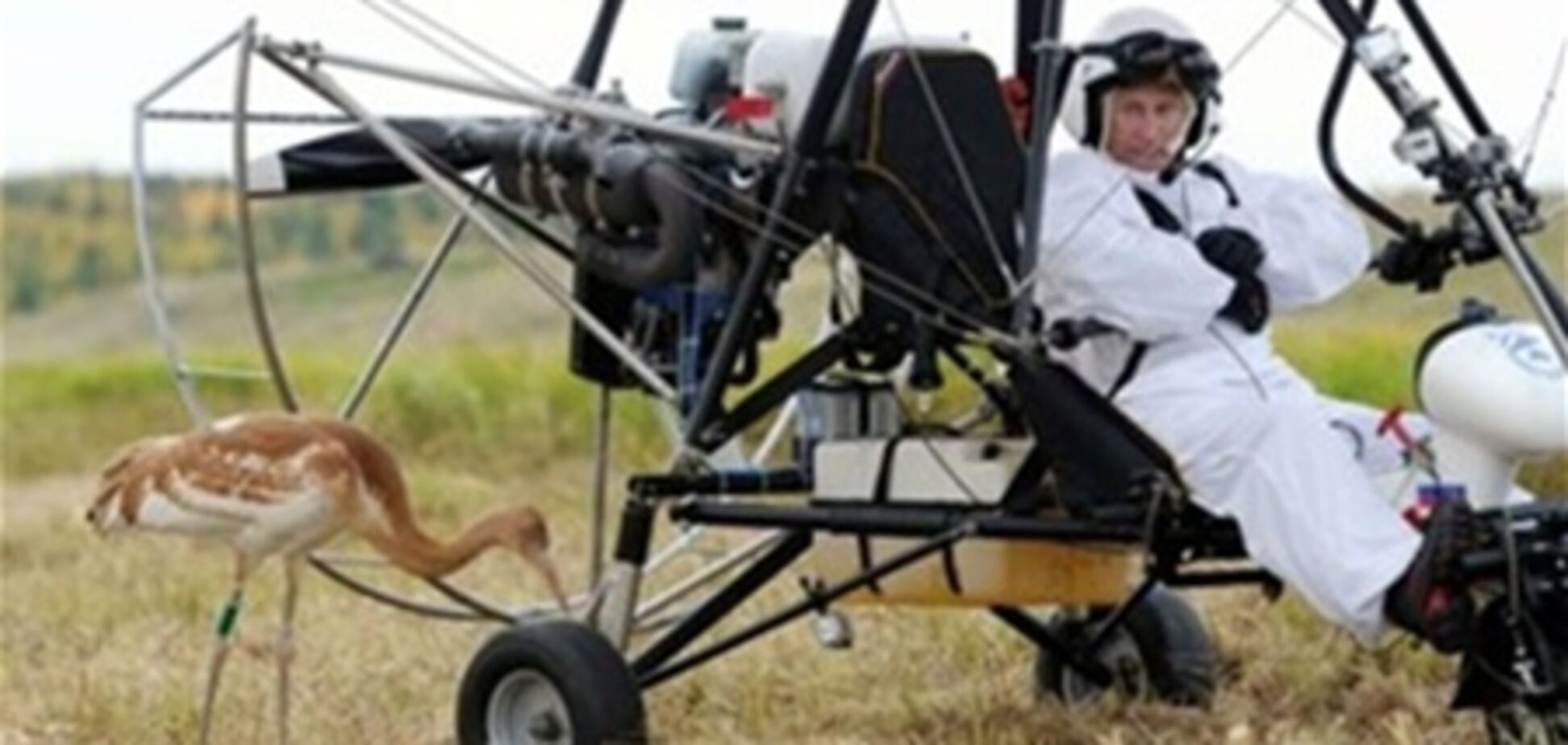 Полет с птицами стал причиной обострения травмы Путина