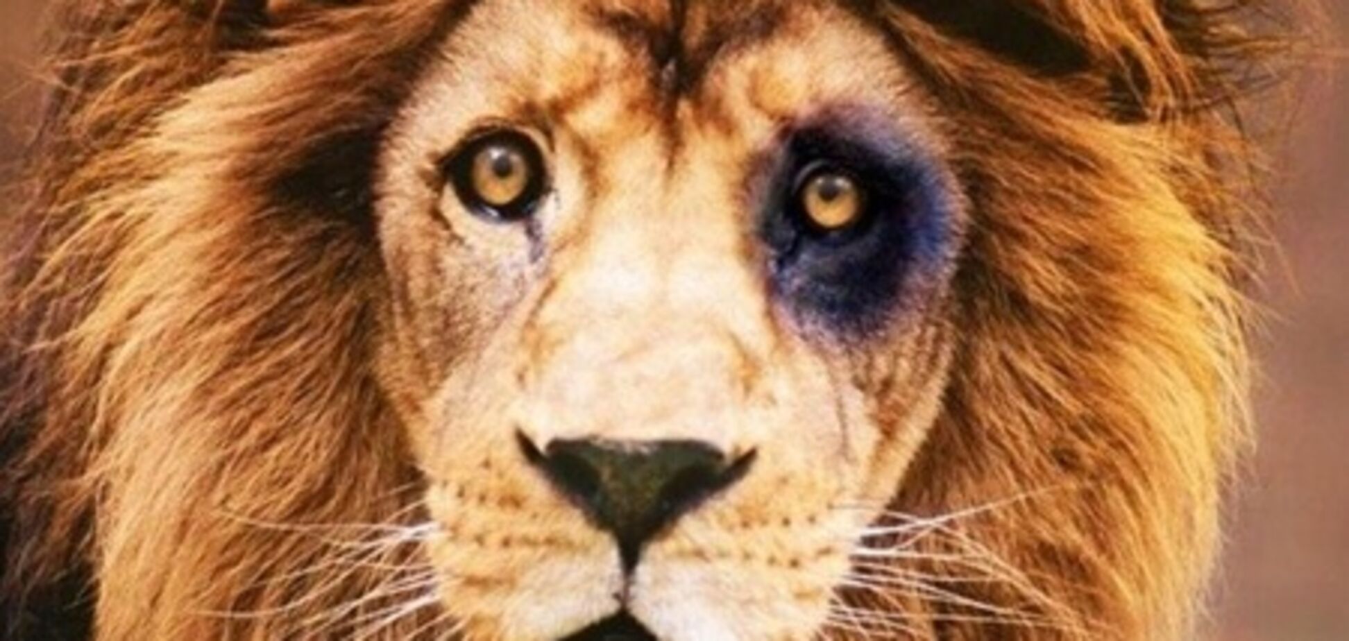 Чертова дюжина, поразившая нас идиотизмом