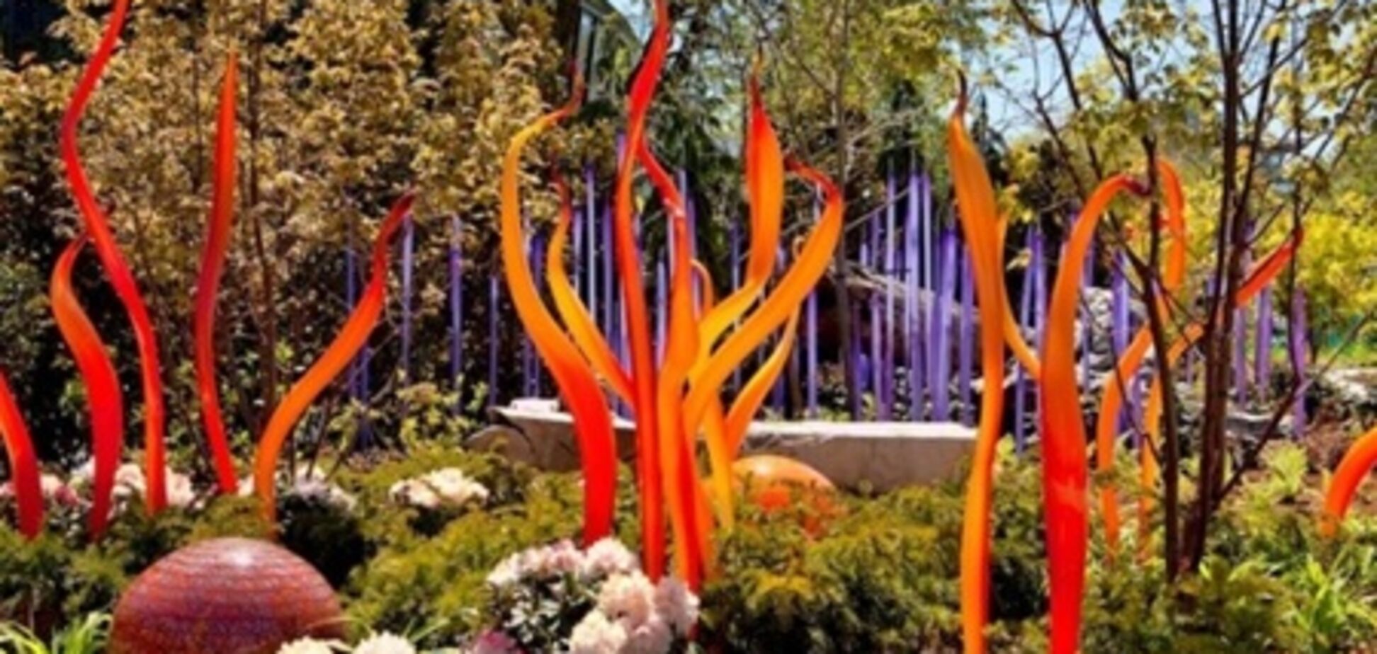 Стеклянные цветы в Сиетле