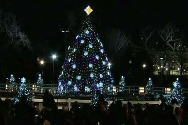 Главную елку США установили в Нью-Йорке