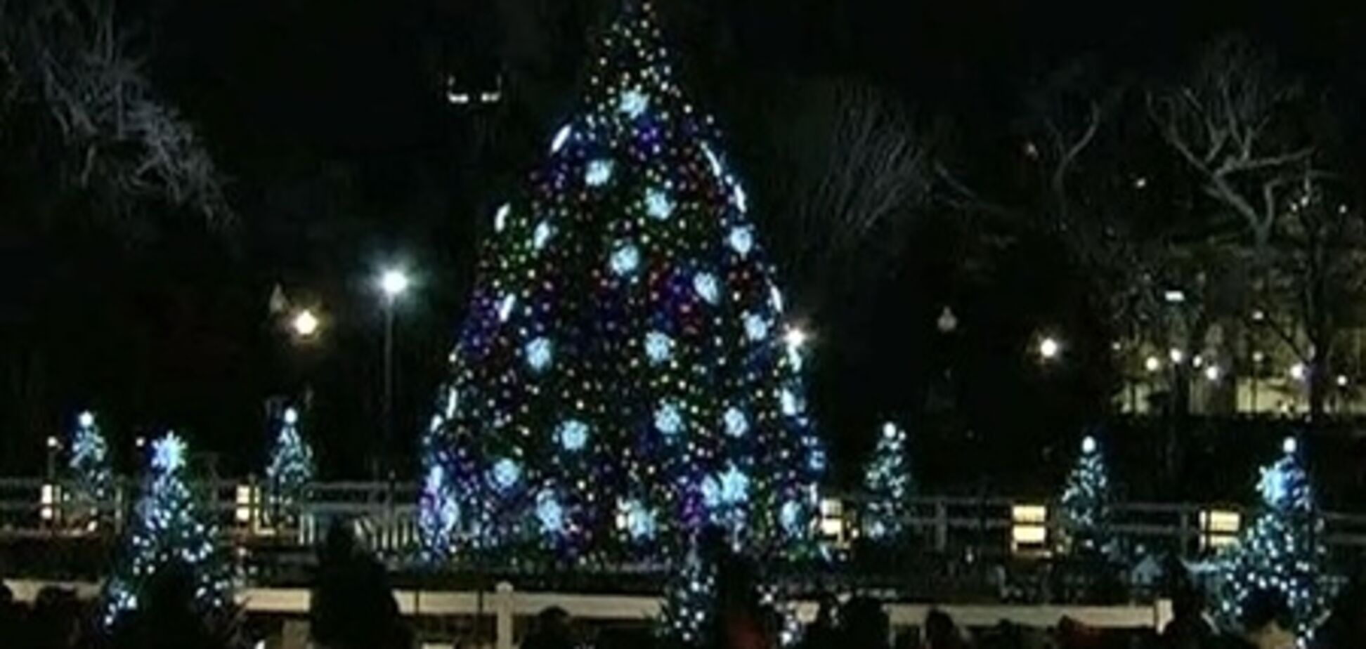 Главную елку США установили в Нью-Йорке