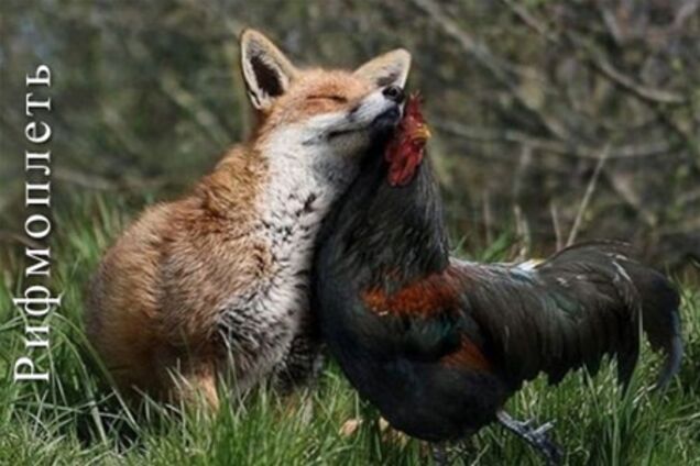 Звери и птицы: конструктивный разговор