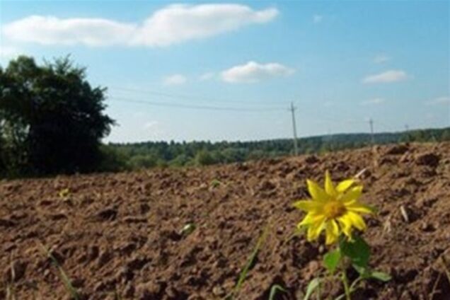 Рада продлила мораторий на продажу земли