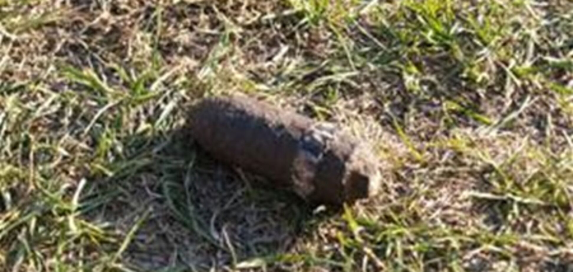 В Крыму 10-летняя девочка пришла в школу со снарядом в портфеле. Видео