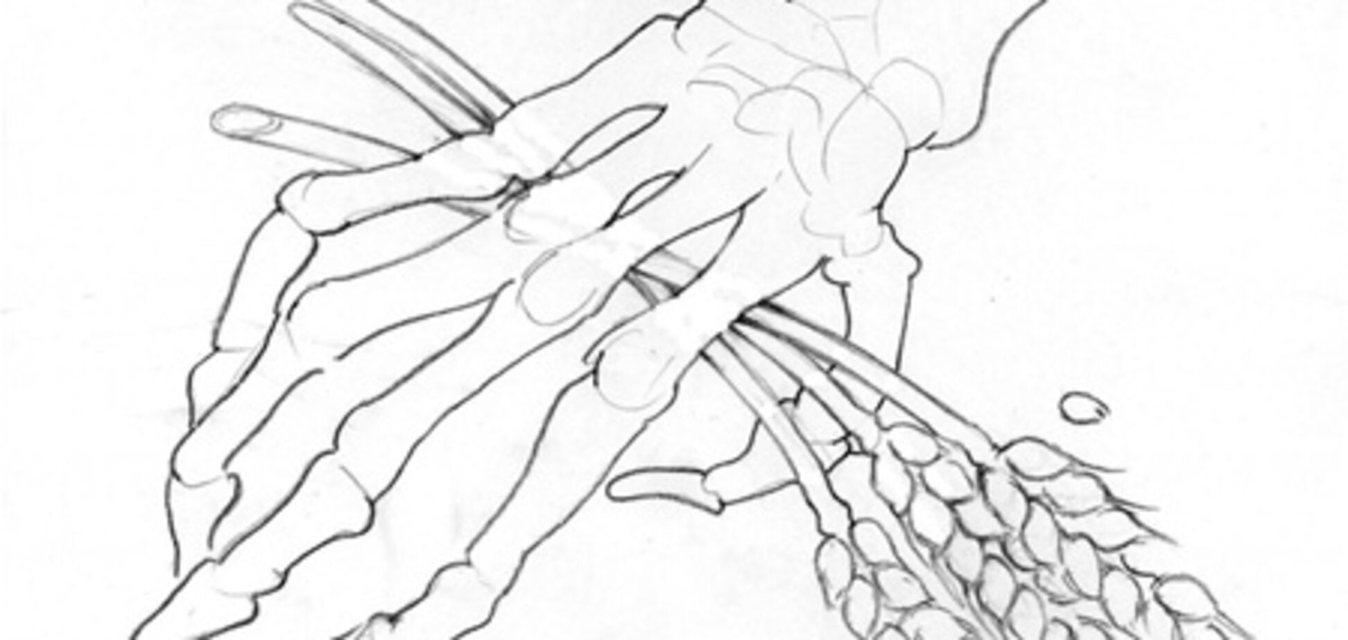 Голодомор – выжить надо было любой ценой