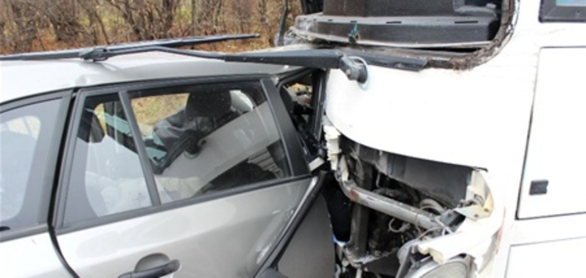 На Львовщине в 'Шкоде Фабиа' погибли пять человек. Фото