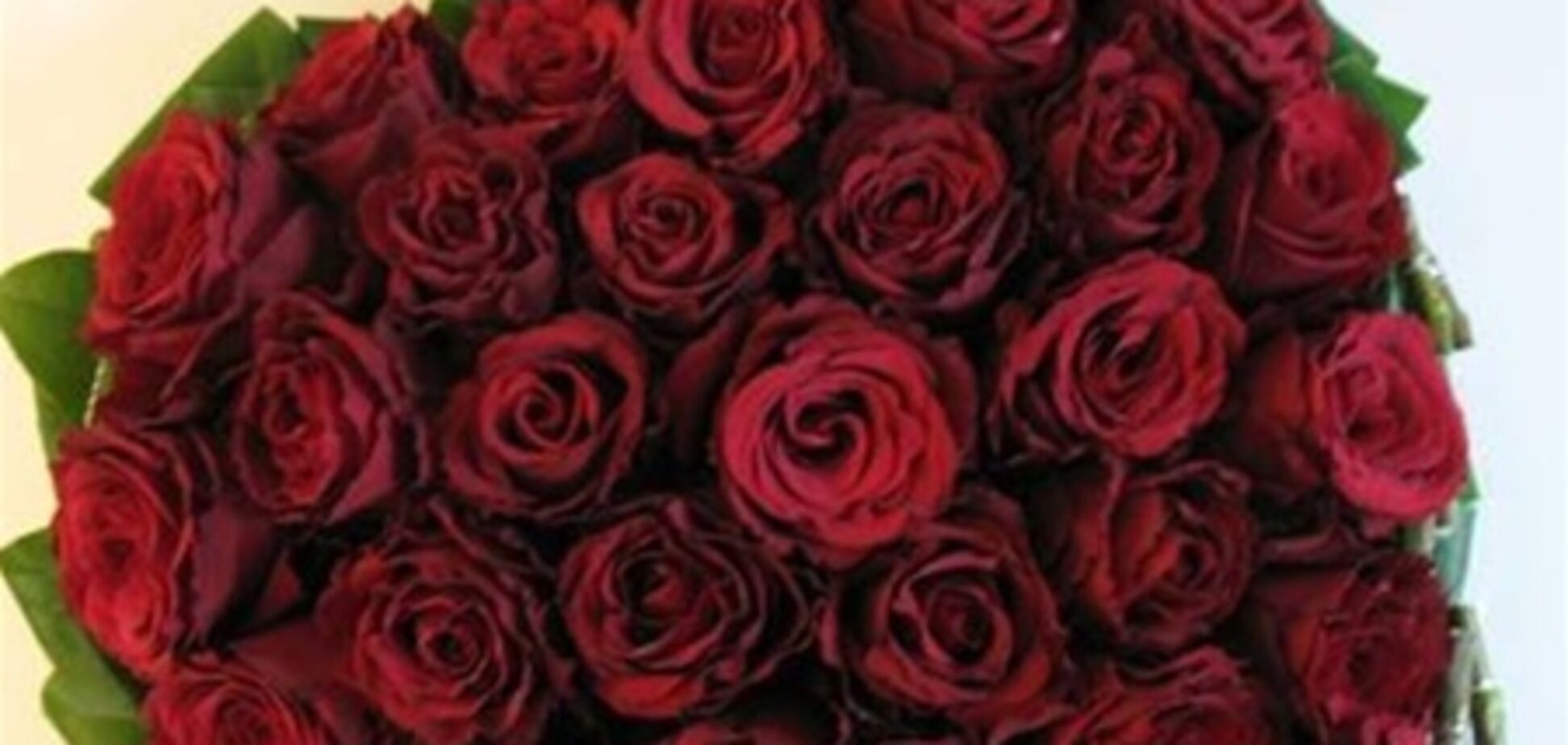 Тимошенко поздравят букетом красных роз в человеческий рост