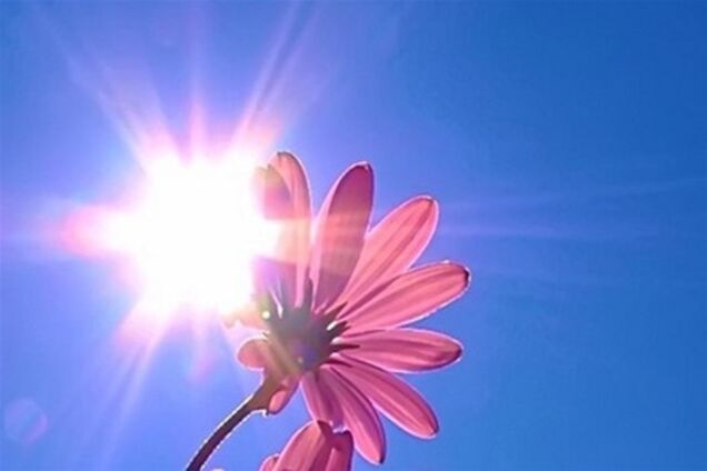 Нынешний год стал девятым в списке самых теплых в истории