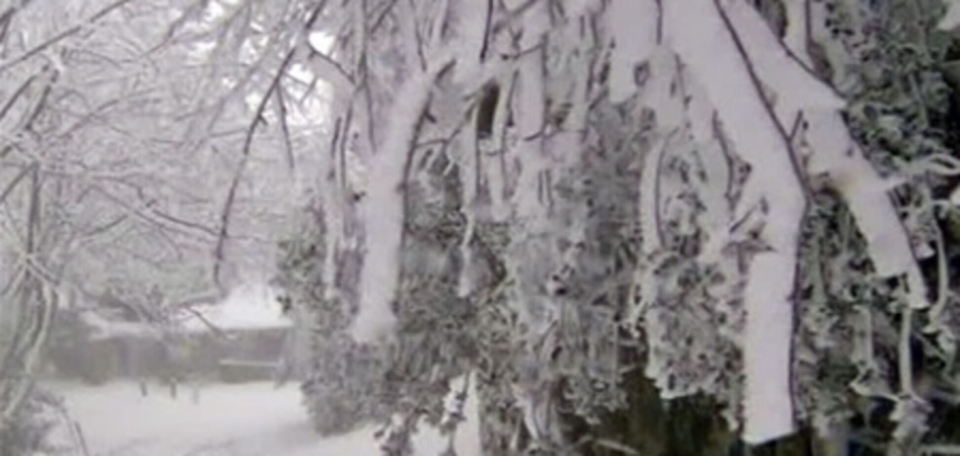 Испанию накрыла сильная метель. Видео