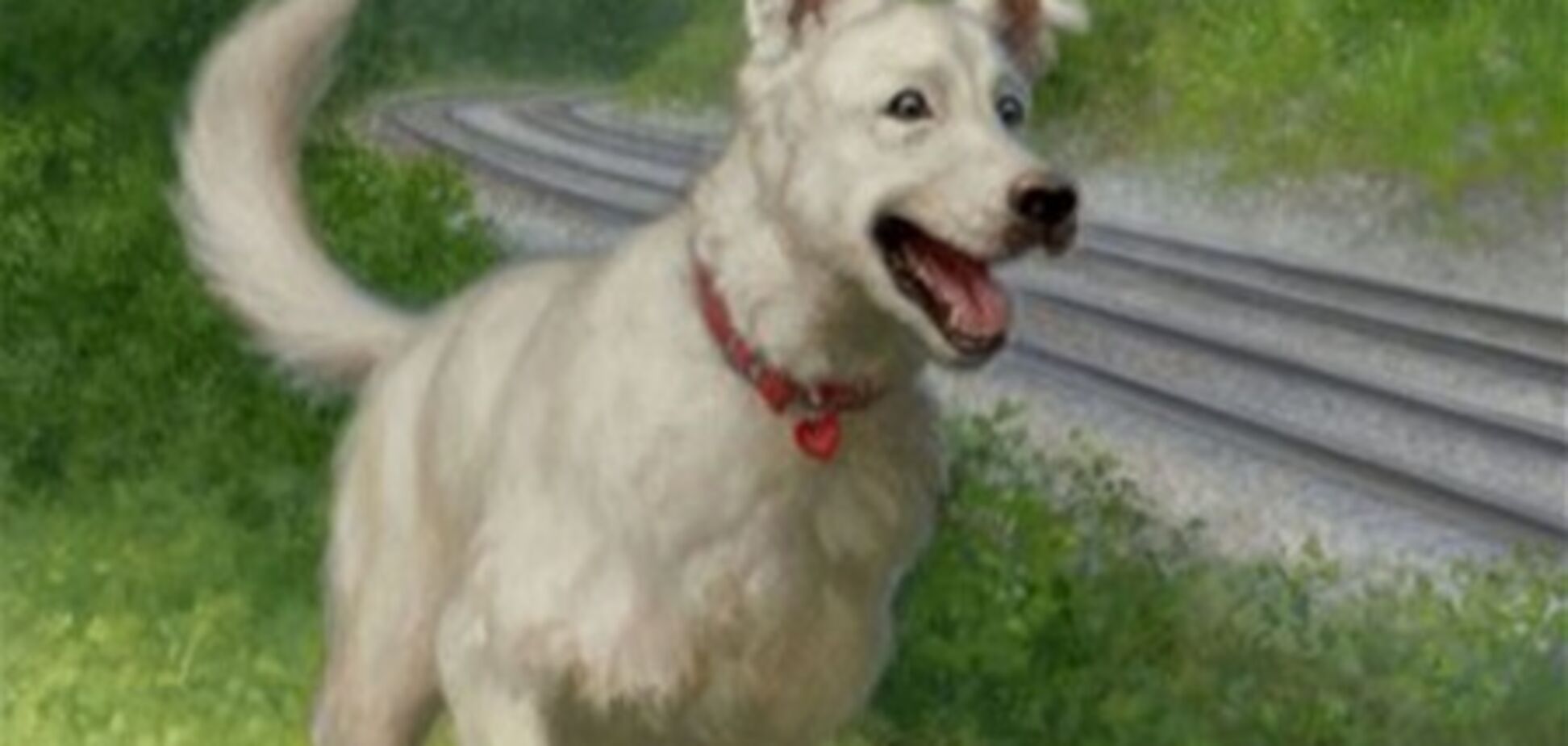 Владельцев собак заставят убирать за питомцами под угрозой штрафов