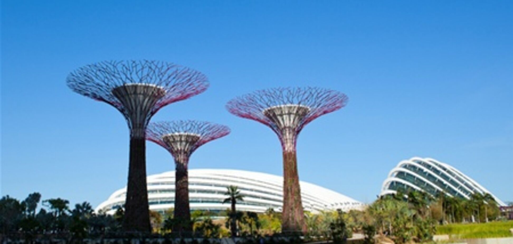 Оранжереї Сінгапуру