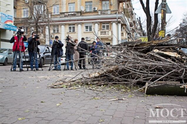 У Дніпропетровську на двох жінок впало величезне дерево. Фото