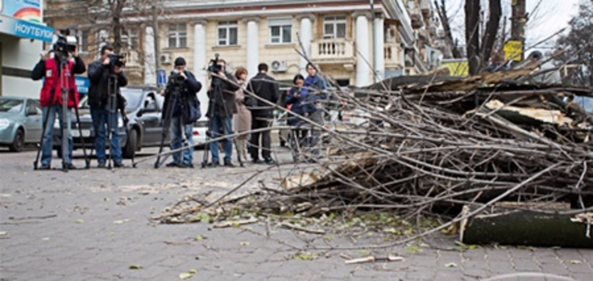 В Днепропетровске на двух женщин упало огромное дерево. Фото