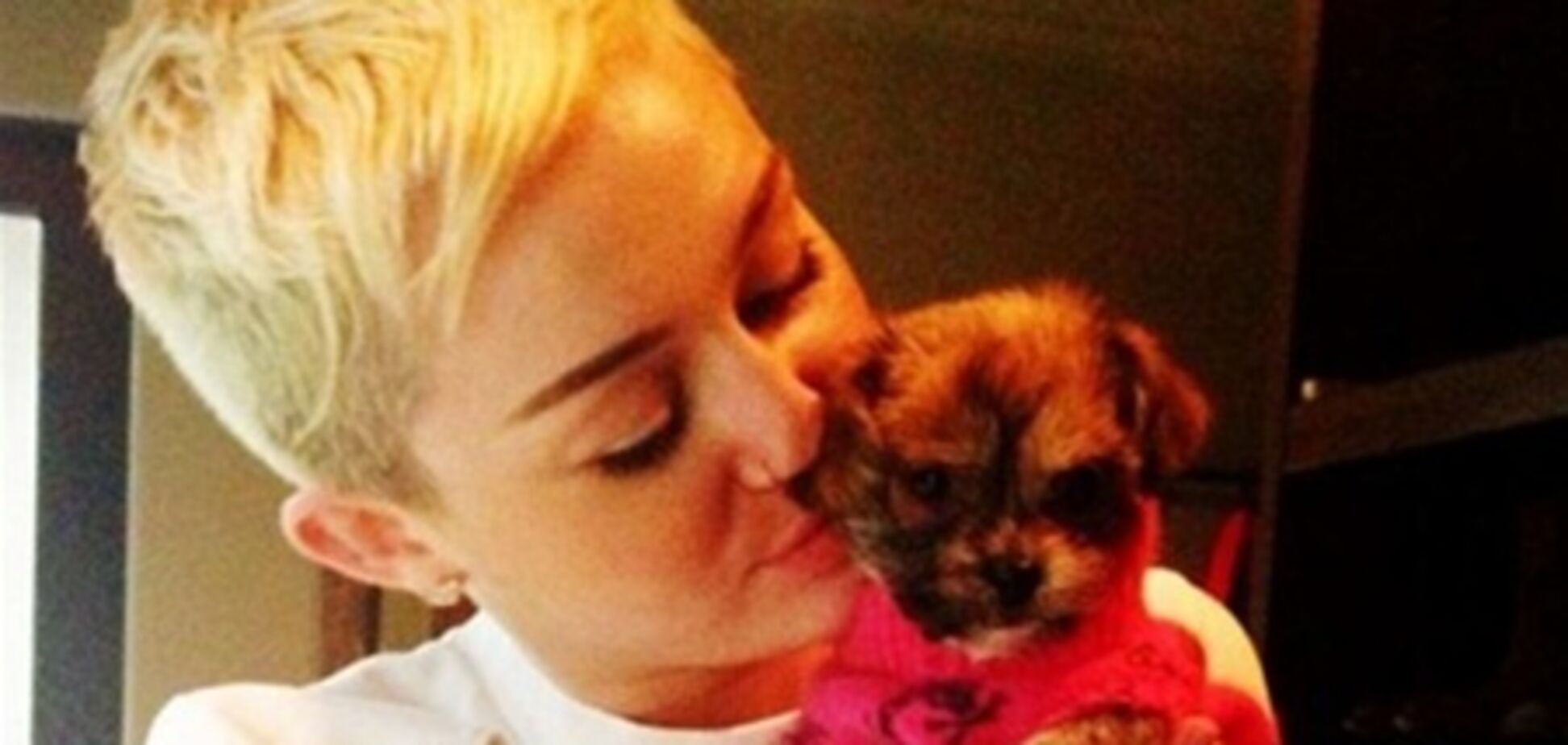 Сайрус боится потерять собак в случае развода. Фото