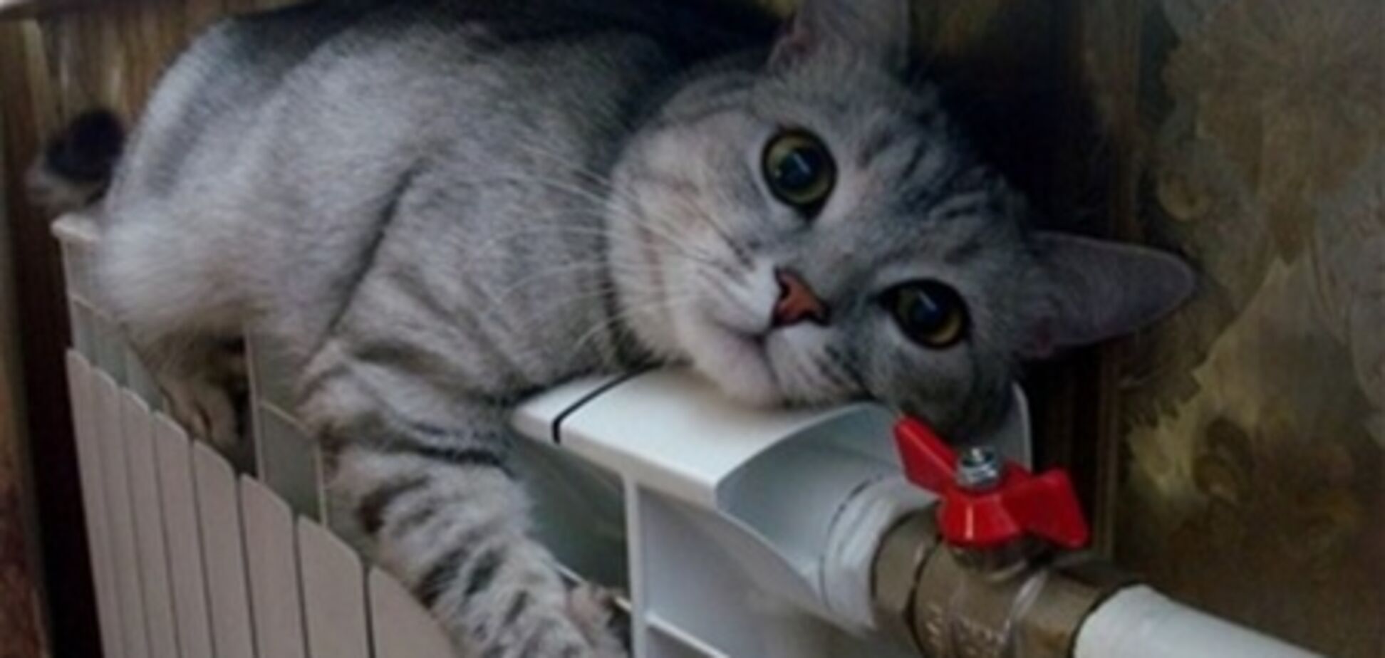 Житомир залишився без гарячої води. Зате з теплими батареями