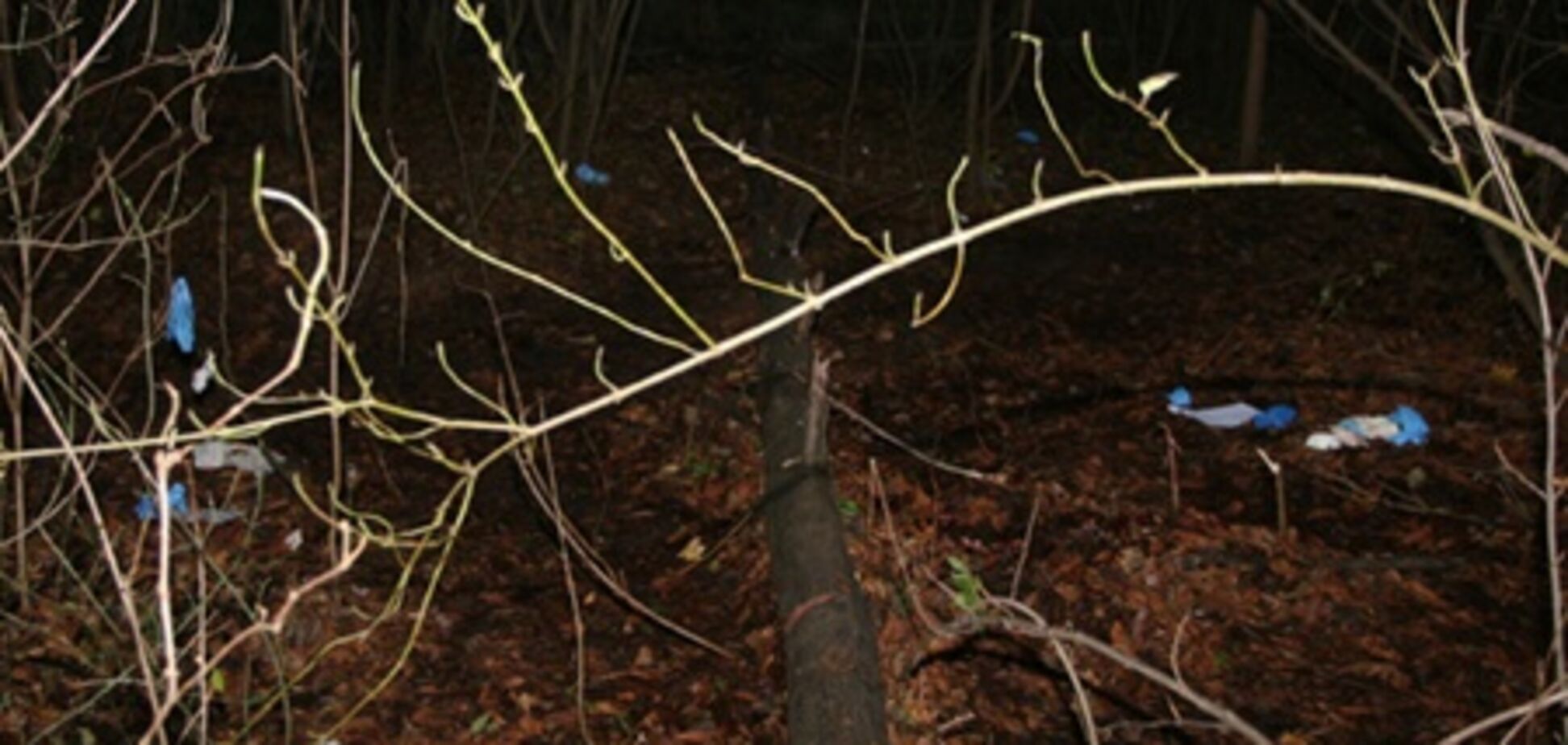 Убитого с паспортом Мазурка нашли возле бомжей