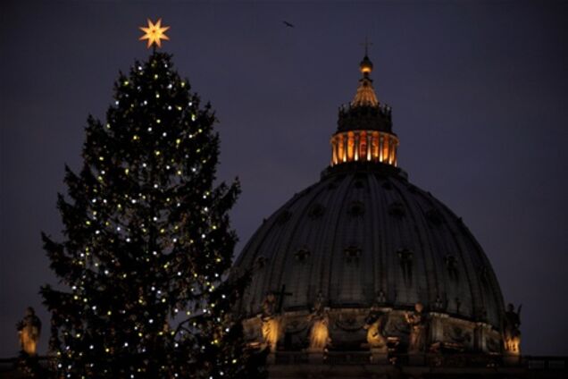 В Ватикане установлена рождественская ель