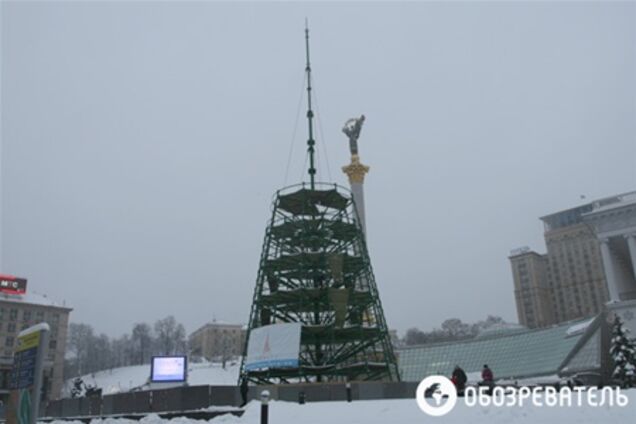 Главную елку Украины откроет Янукович