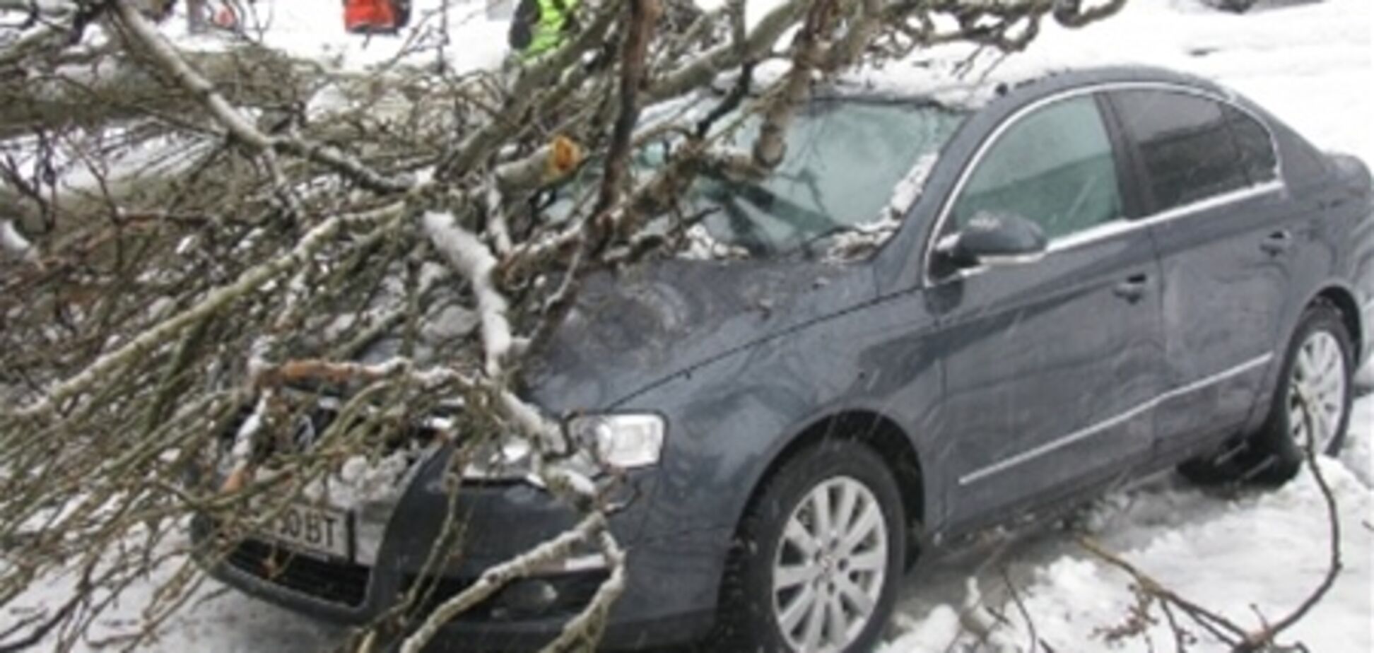Из-за непогоды в столице массово падают деревья