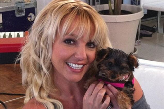 Forbes назвал самую высокооплачиваемую певицу 