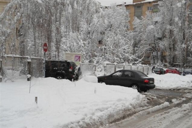 В Киеве зафиксировали рекордное налипание мокрого снега