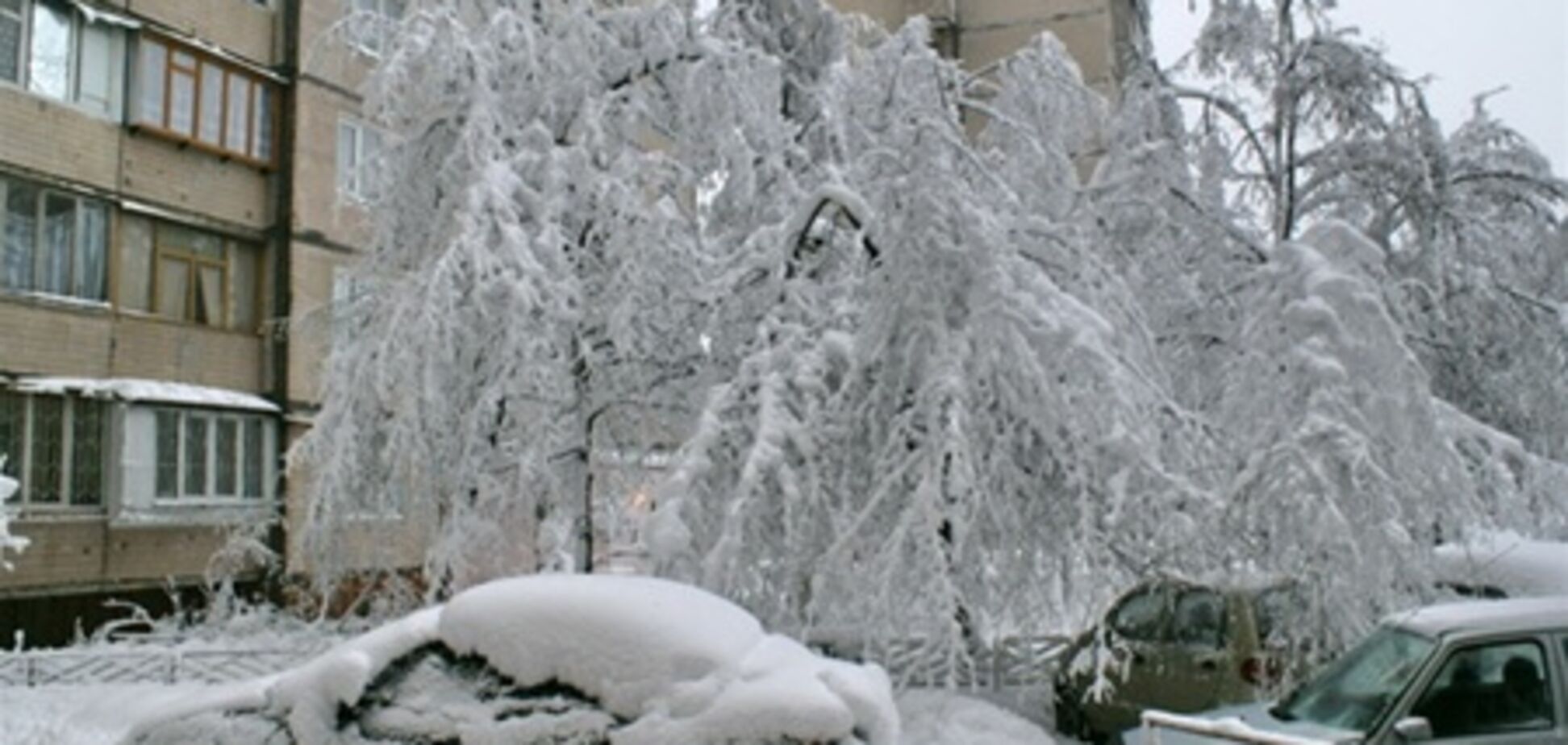 Азаров доручив перевірити готовність спецслужб до прибирання снігу