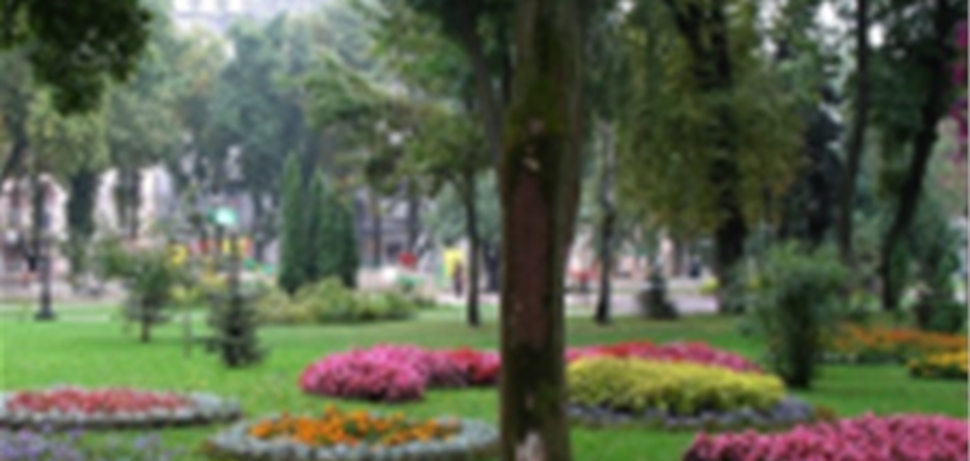 В Киеве реконструируют парки и скверы