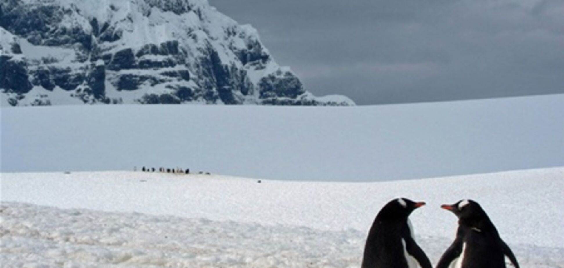 Фотографії тижні від National Geographic. 22.12.2012