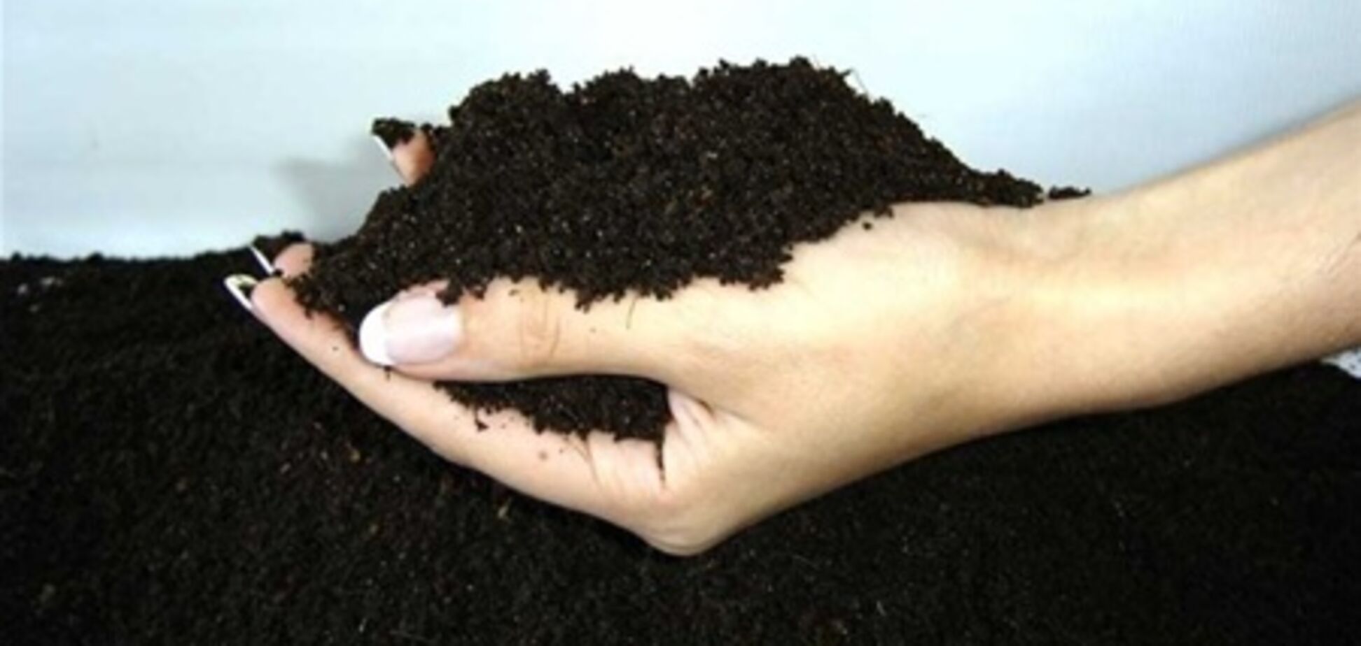 Земля как на ладони