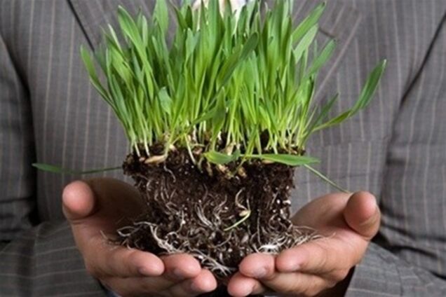 Земельный банк должен быть полностью государственным – юрист