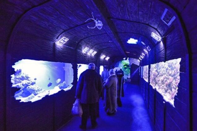 В киевском 'Детском мире' начал работать океанариум