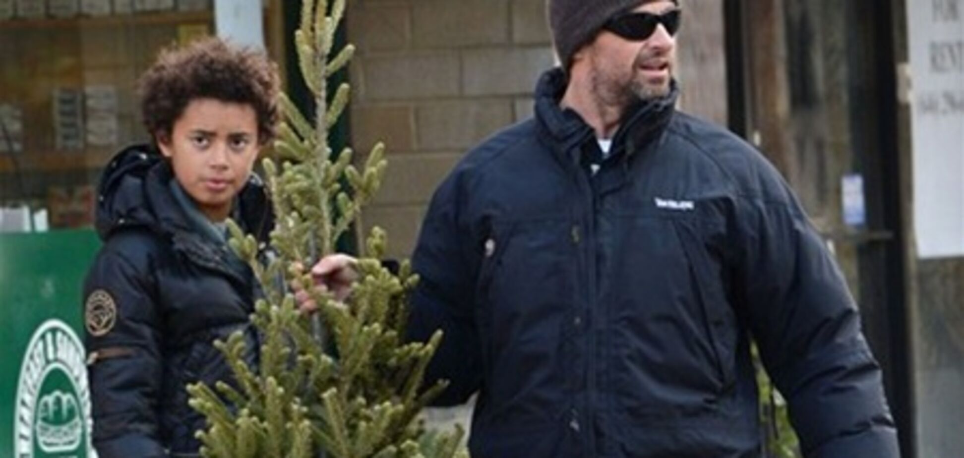 Джекман с детьми выбрал новогоднюю ель. Фото