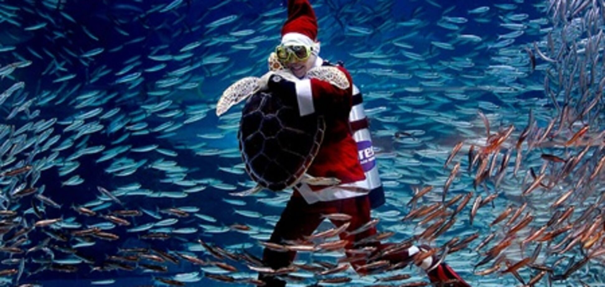 В Мексике появился подводный Санта-Клаус