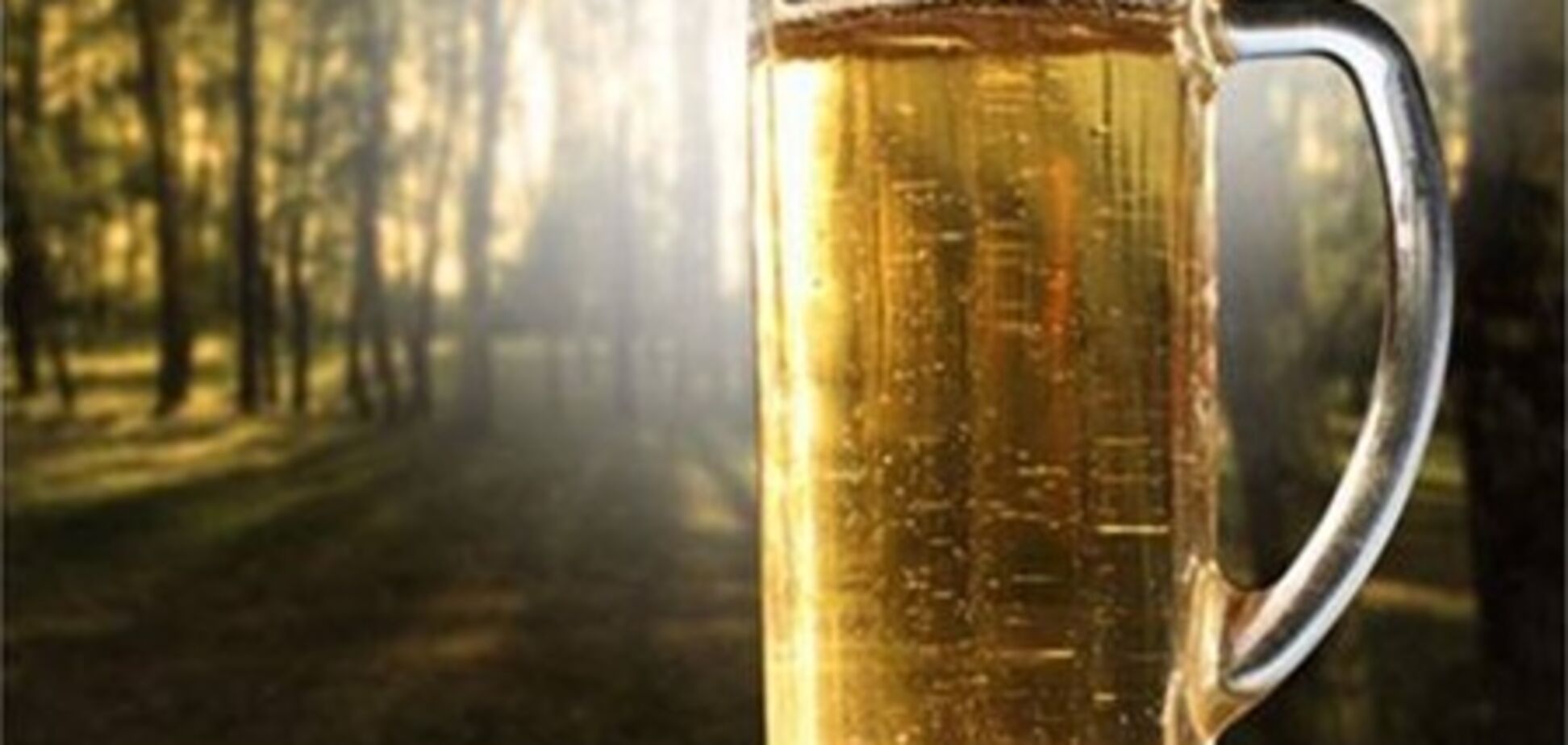 Шотландцы сварили новогоднее пиво из елки