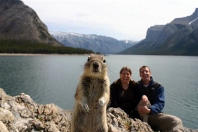 Самые популярные фото Интернета в 2012 году