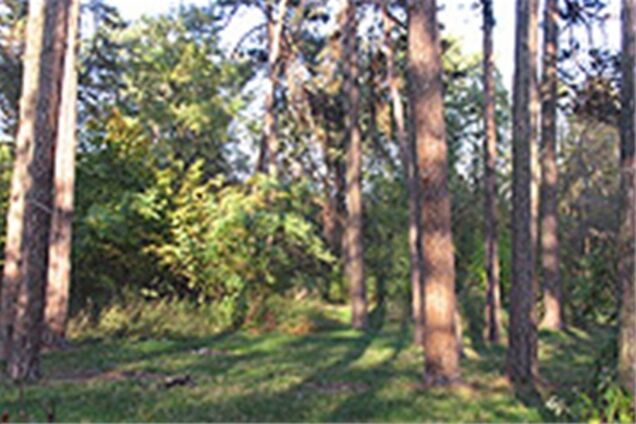 Прокуратуру интересует строительство в Сырецкой роще