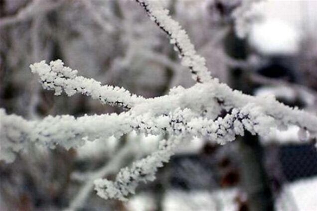 МЧС объявило штормовое предупреждение