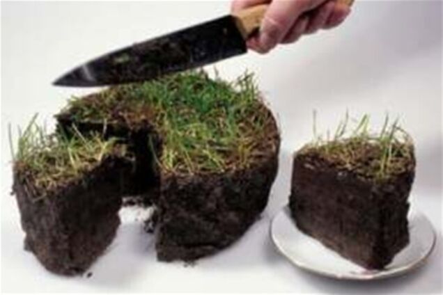 Прокуратура проверяет землю друзей президента