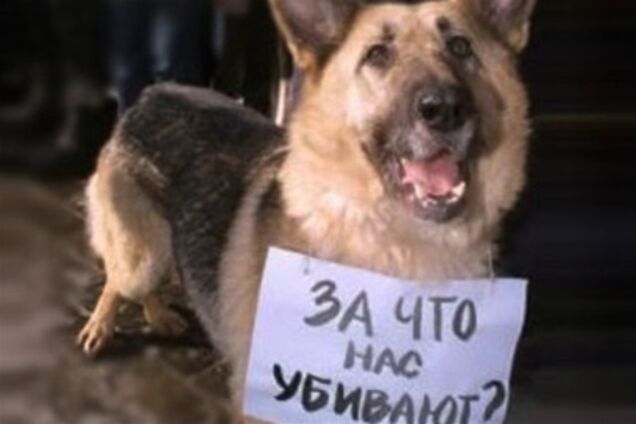 Киевский 'Джек-потрошитель' предстанет перед судом