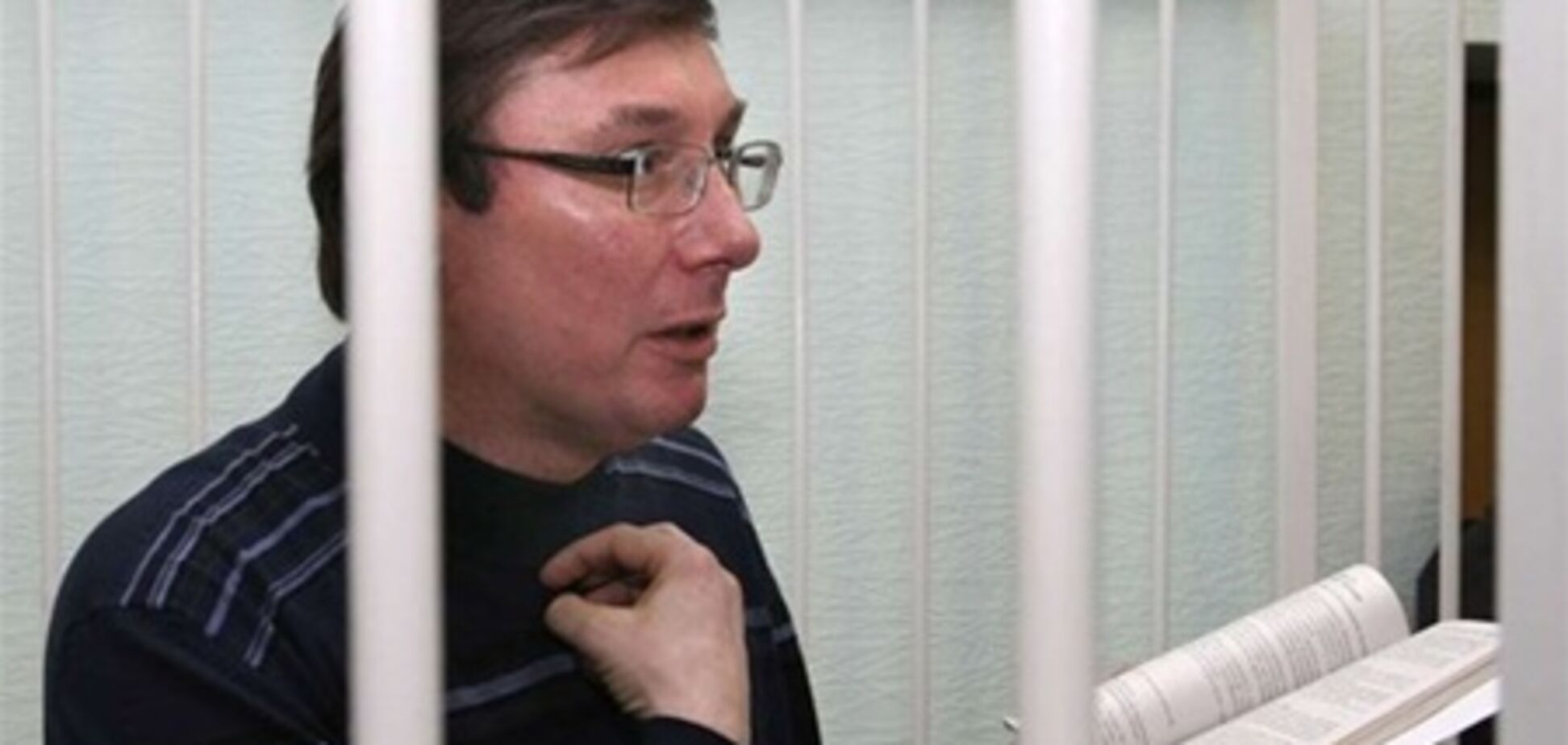 Луценко выйдет на свободу в 2015 году?