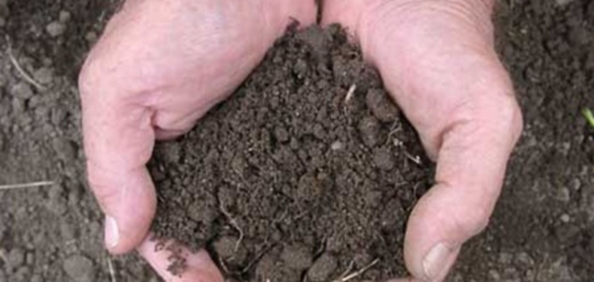 Иностранные инвесторы боятся введения рынка земли