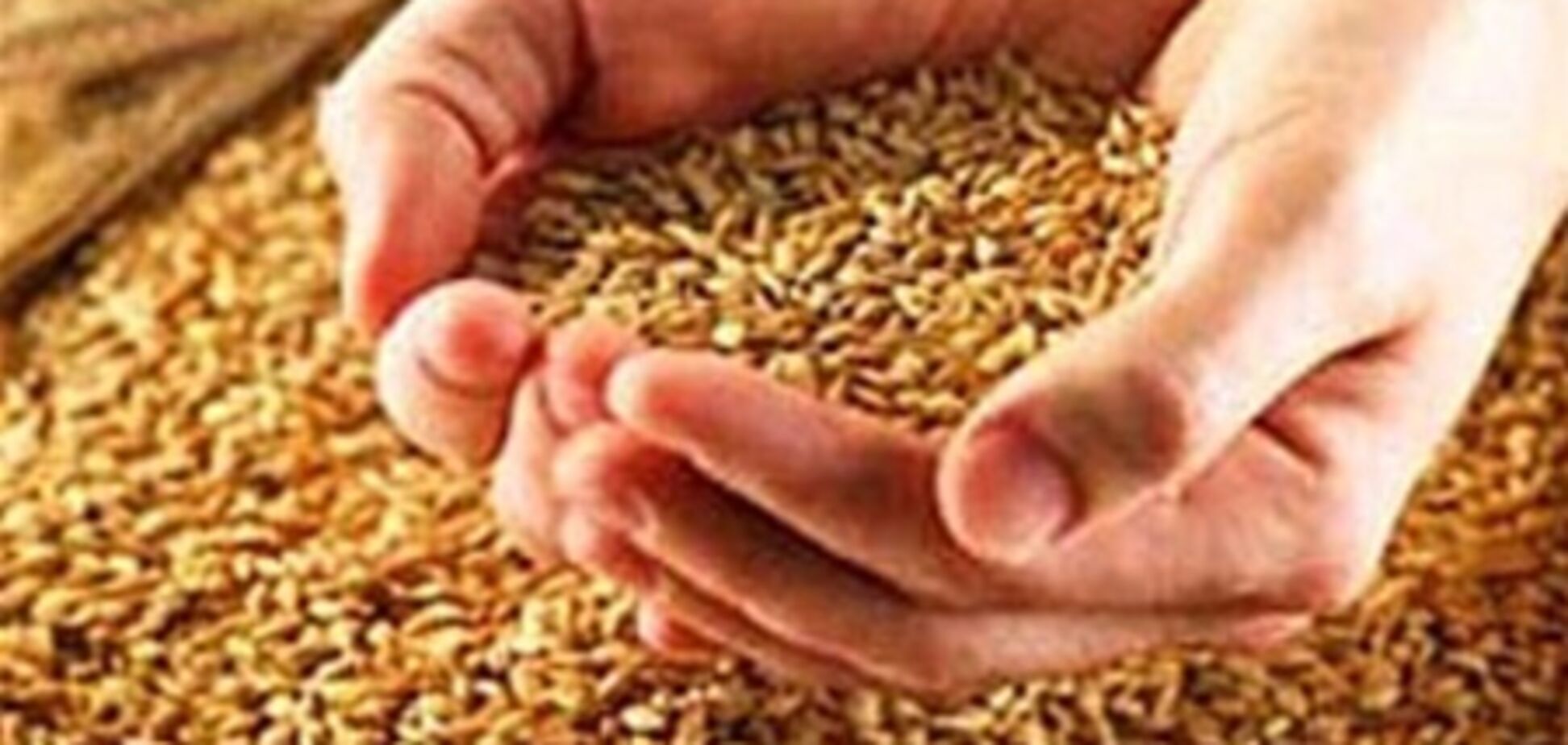 Президент УКАБ Лисситса: половину озимых будем пересевать