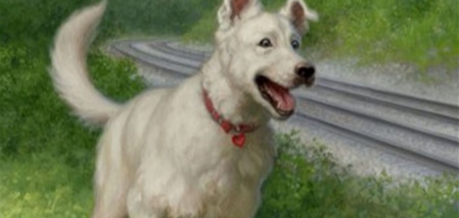 В Италии пес спас от пожара более 40 человек