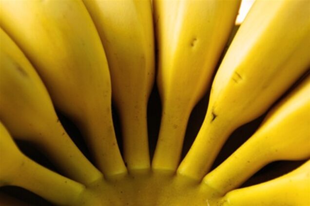 Банановый кризис в Эквадоре стоил министру его должности