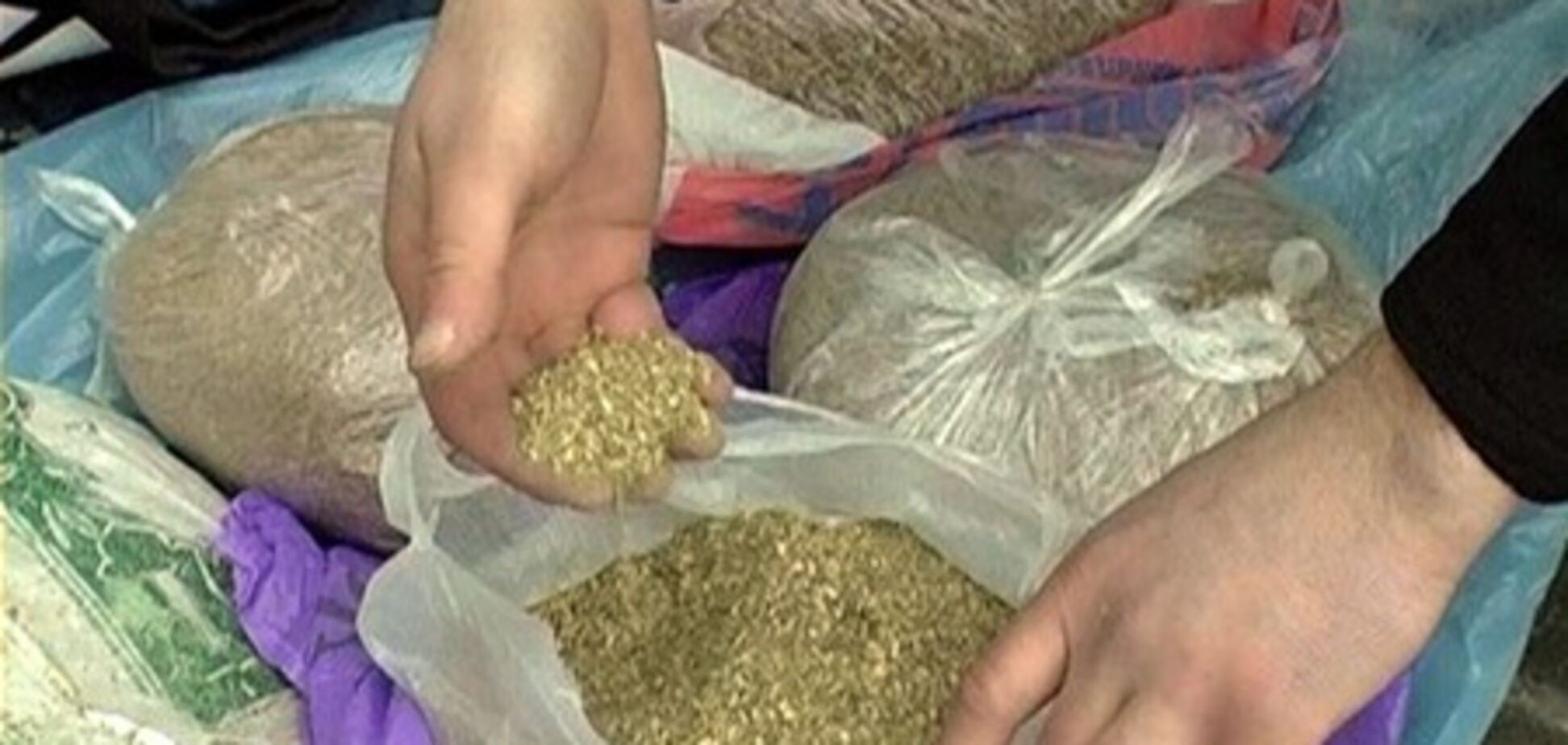 Водитель прятал под сиденьем 12 кг маковой соломки